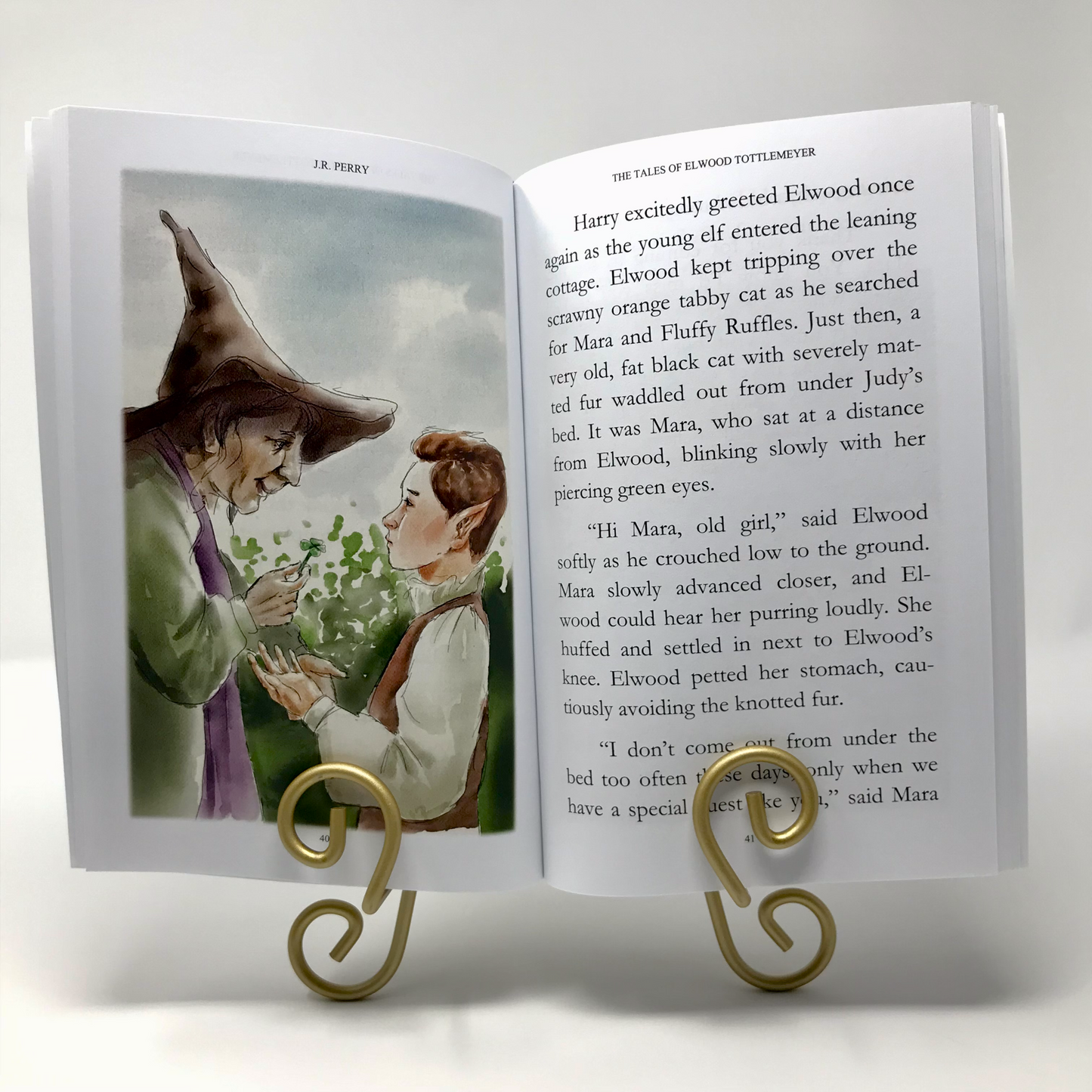 The Tales of Elwood Tottlemeyer by J.R. Perry | Author Signed, Gift-Wrapped Paperback Children's Illustrated Storybook